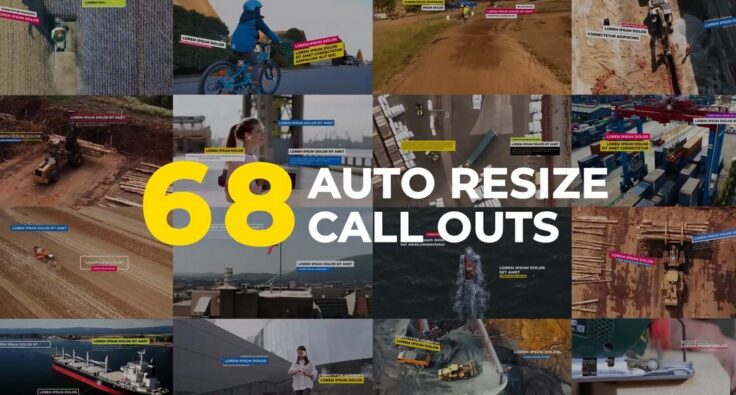 View Information about Auto Resizing Call-Outs & Lower Thirds