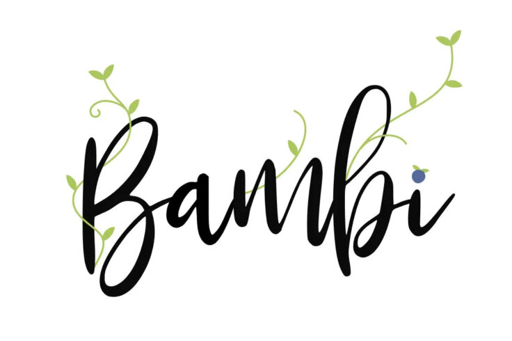 View Information about Bambi Fonts