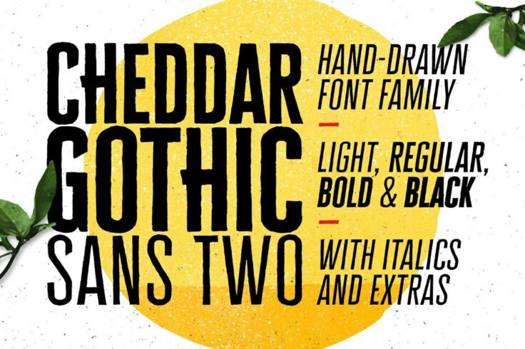 View Information about Cheddar Gothic Sans Fonts