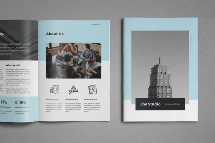 View Information about Clean Profile Brochure Template