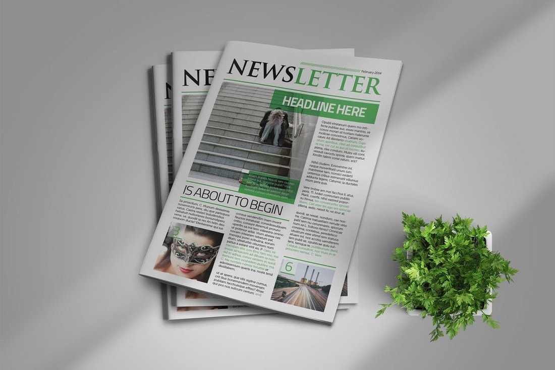 Clean InDesign Newsletter Template