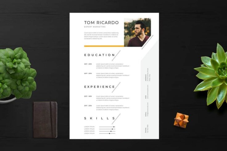 View Information about Clean & Minimalist Resume Template