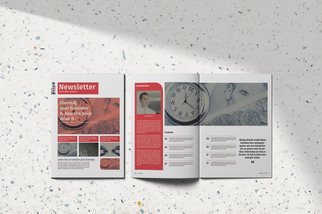 Creative Business InDesign Newsletter