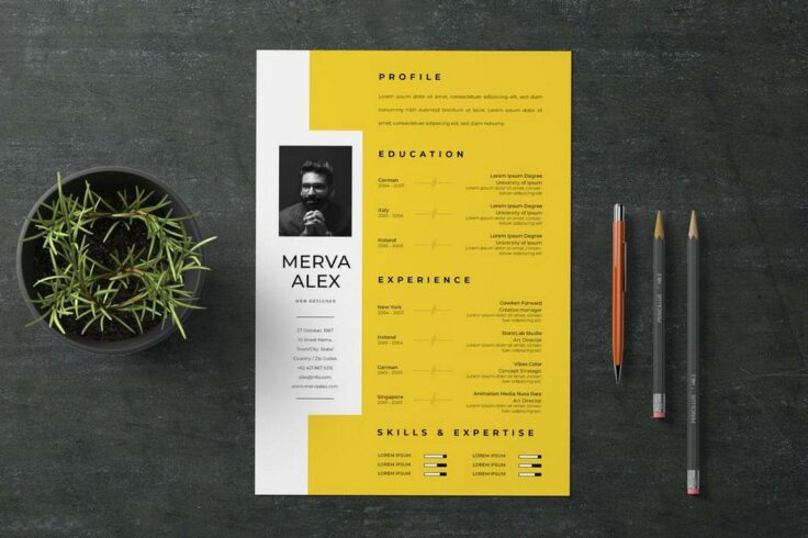 View Information about Creative CV Template