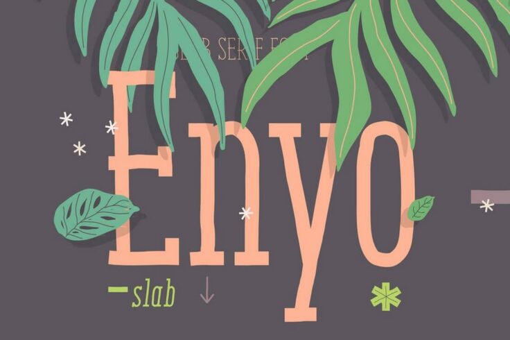 View Information about Enyo Slab Font
