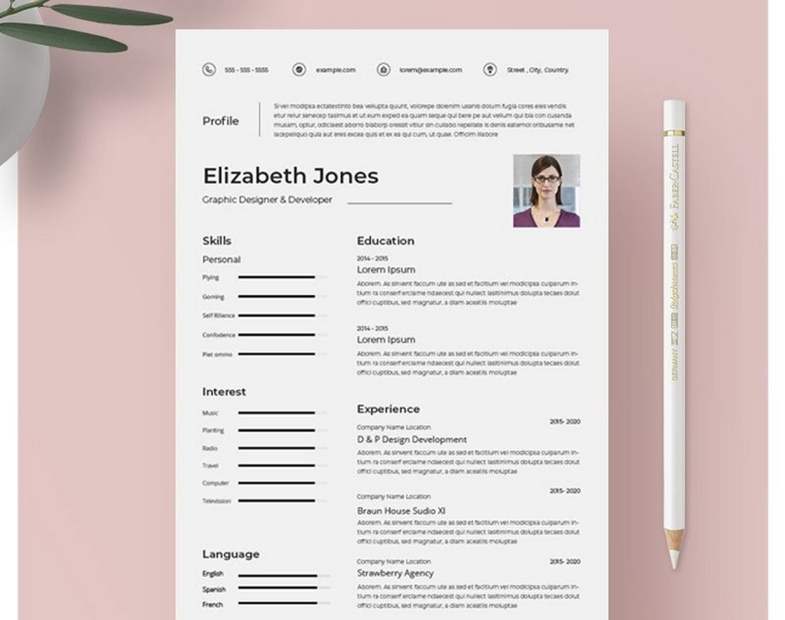 Free Professional Resume Template for InDesign