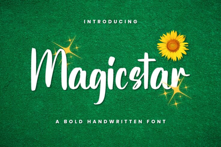 View Information about Magicstar Handwritten Font
