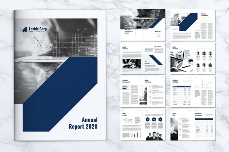 View Information about LEVIDE Brochure Template