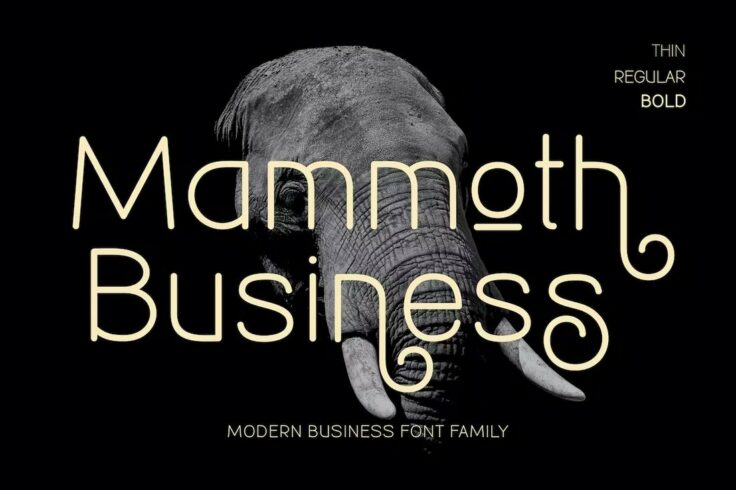 View Information about Mammoth Font Family