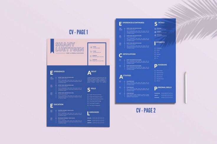 View Information about Blue & Pink Resume Template