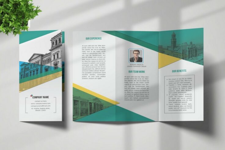 View Information about Triangle Brochure Template
