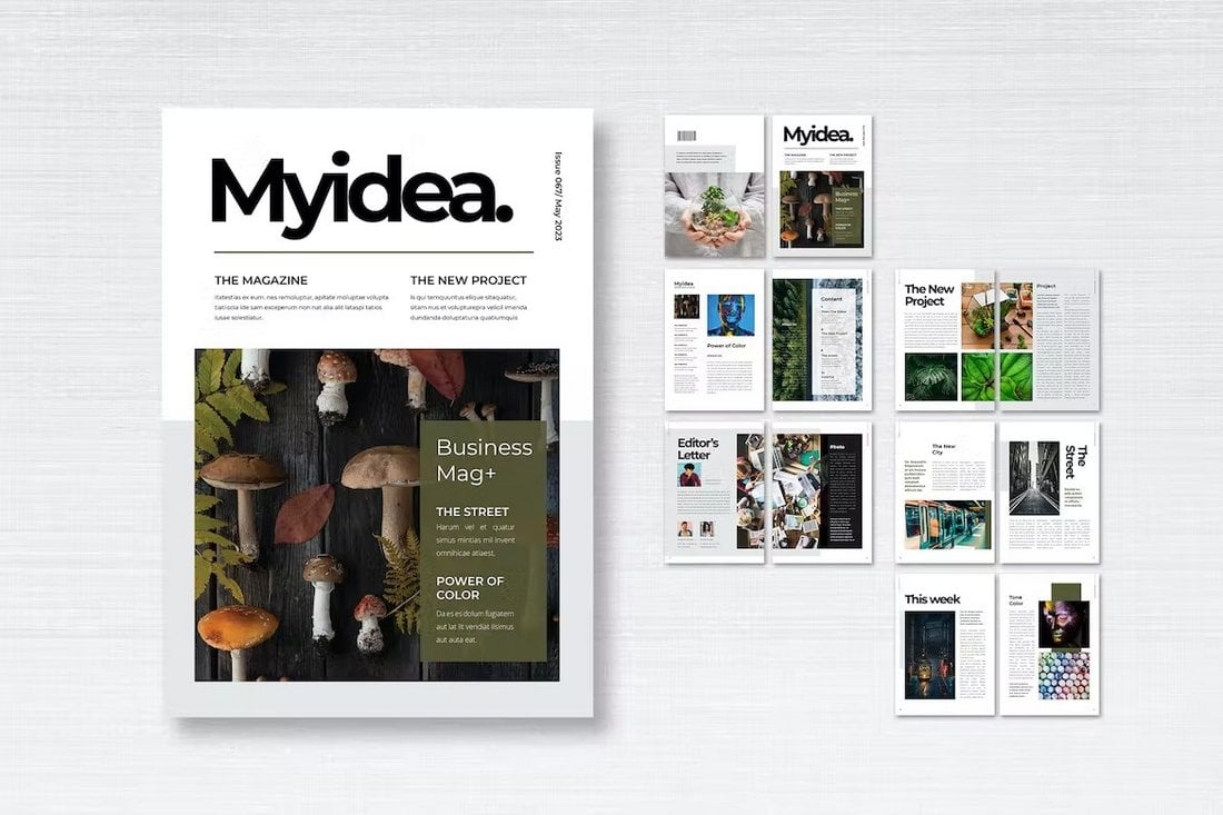 Multipurpose Magazine Template for InDesign