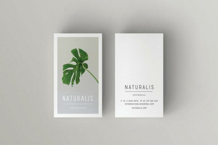 View Information about Naturalis Business Card Template