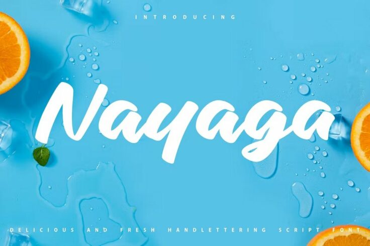View Information about Nayaga Font