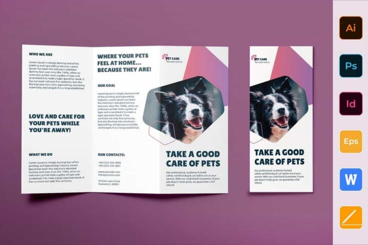 View Information about Pet Grooming Brochure Template