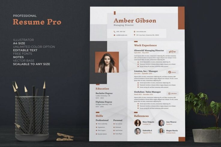 View Information about Professional CV Resume Template