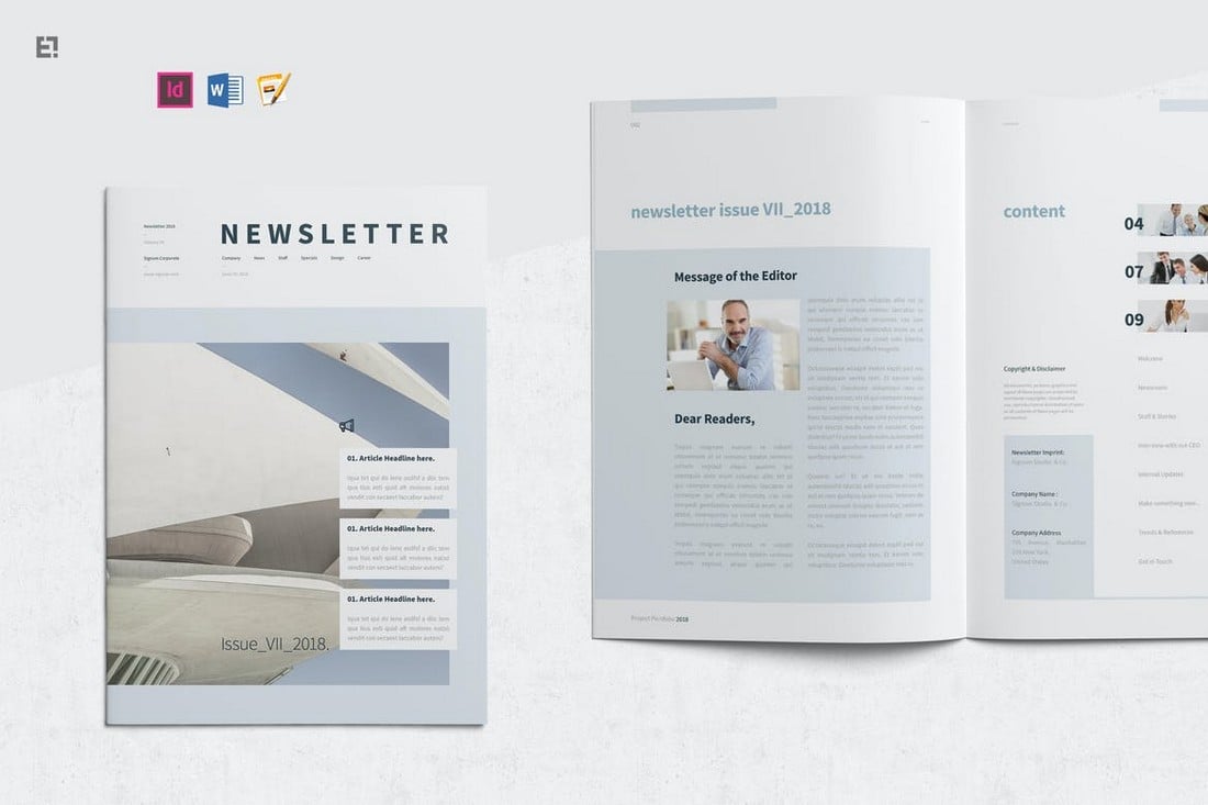 Professional Newsletter Template for MS Word