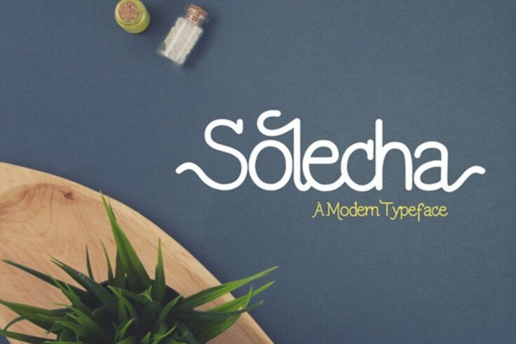 View Information about Solecha Font