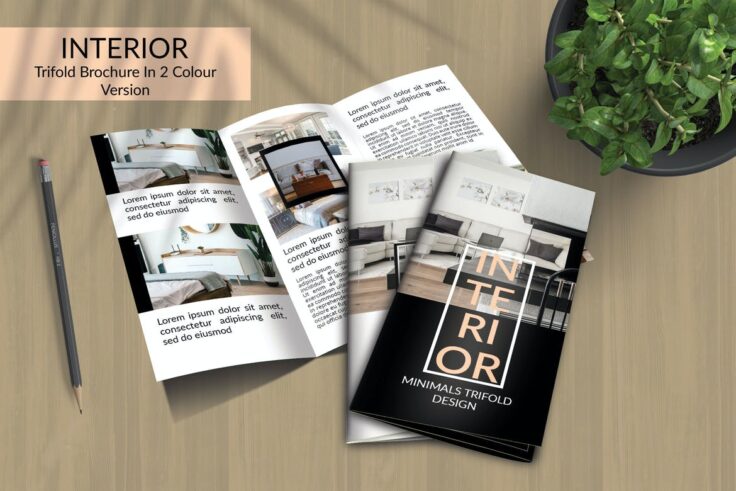 View Information about Interior Tri-Fold Template