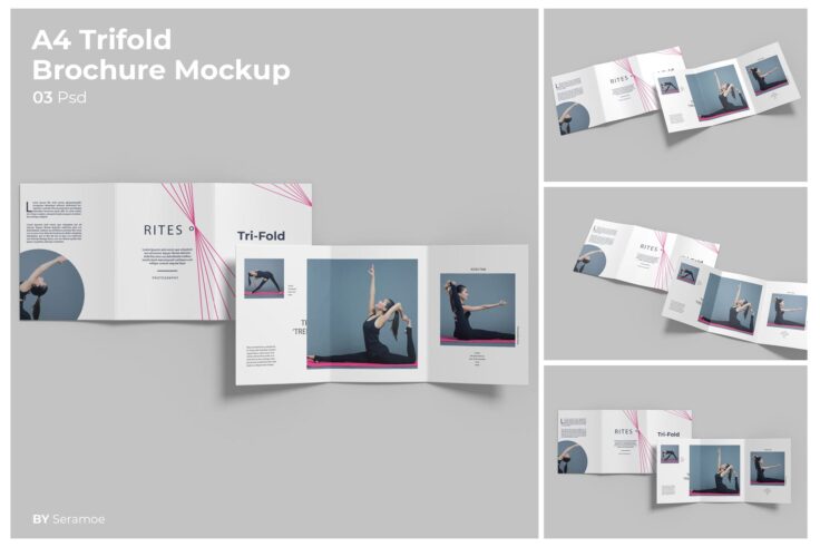 View Information about Clean & Simple Brochure Template