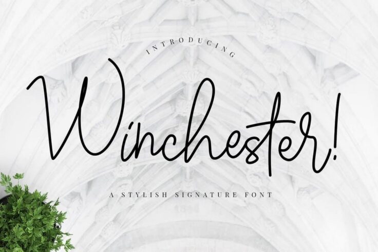 View Information about Winchester Font